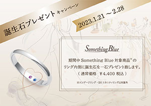 終了【結婚指輪取扱店】Something Blue 誕生石プレゼントキャンペーン(1/21～2/28)