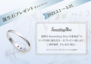 終了【結婚指輪取扱全店】Something Blue 誕生石プレゼントキャンペーン（3/1～3/31）